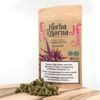HerbadiBerna Indoor MiniBuds - Cannaqueen (CHF40.00/21g)