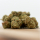 Herba di Berna - Cannaqueen Indoor (CHF 20.00/3g)