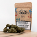 HerbadiBerna Indoor Blüten - Power Plant (CHF20.00/4g)