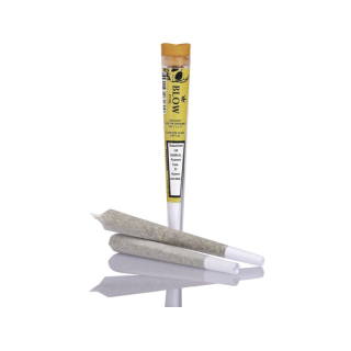 Blow Pure Joint - Orange (1 x 20Stk)