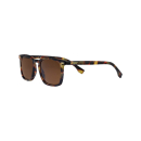 Zippo Sonnenbrille OB145-02