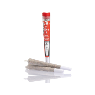Blow Pure Joint - Cheese Red (1 x 20Stk)