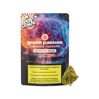 GreenPassion Indoor MiniBuds - Amnesia (CHF25.00/10g)