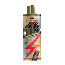 King Palm - Mini - Red Reign (20 x 2 Stk.)