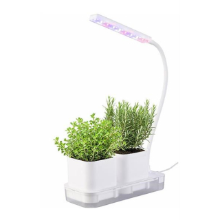 Mini Gewächshaus - LED