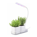 Mini Gewächshaus - LED