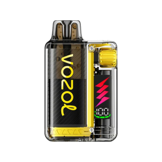Vozol - Vista Plug Starter Kit (20mg) Mango ICE