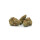 Hempiric Indoor Blüten - La Forte Fruit (CHF9.90/2g)