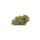 Hempiric Indoor Blüten - Super Silver Haze (CHF9.90/2g)