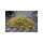 HashBunnies Indoor Trim - Candy Cake (CHF29.90/30g)