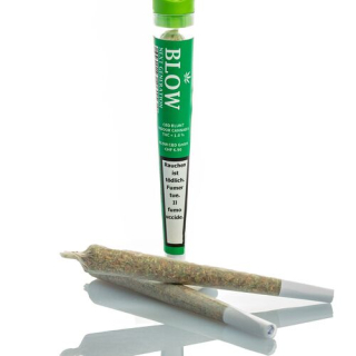 Blow Tabak Joint - Harlequin Green (1 x 20Stk)