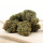 HerbadiBerna Greenhouse Blüten - Gorilla Glue Cherry Berry (CHF35.00/10g)