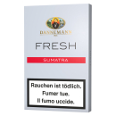 Dannemann Cigarillo - Fresh Sumatra (2 x 5Stk)