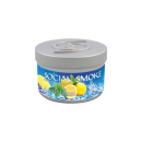 Social Smoke - Arctic Lemon (100g)
