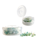 Amsterdam Glassiebe Flower 4mm (1 x 5Stk)