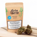 HerbadiBerna Indoor Blüten - Harlequin (CHF20.00/3g)
