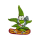 Cannabuds Magnet - Snowboarding Dude Shaun (1 Stk)