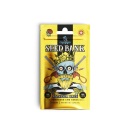 CannabisKing Seeds - Premium Genetic Amnesia Haze (1 x 3Stk)